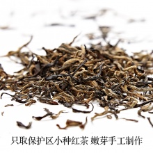 高山野茶